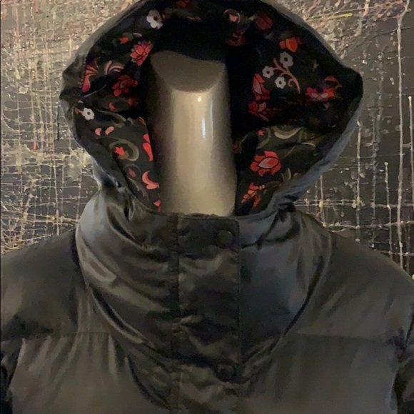 Adidas Originals Down Puffer Hooded Jacket - Picture 4 of 15